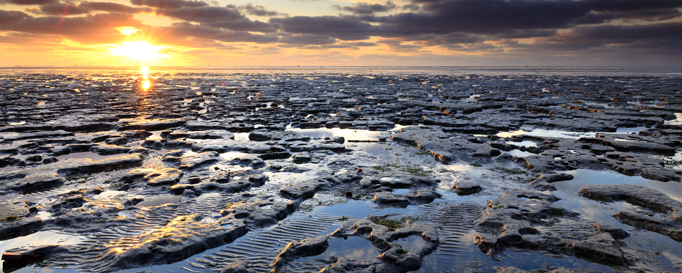 Segeln Wattenmeer: Sonnenuntergang im Watt