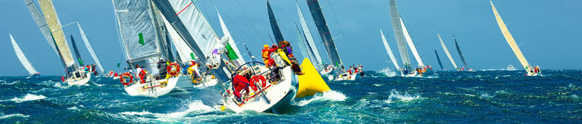 Segeln mit Sporthochseeschifferschein SHS: Viele Sportsegelboote auf See