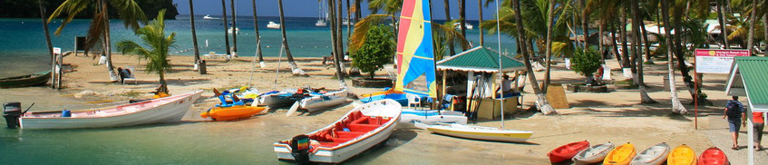 Segeln St. Lucia Segeln St. Lucia: Segelboote unter Palmen