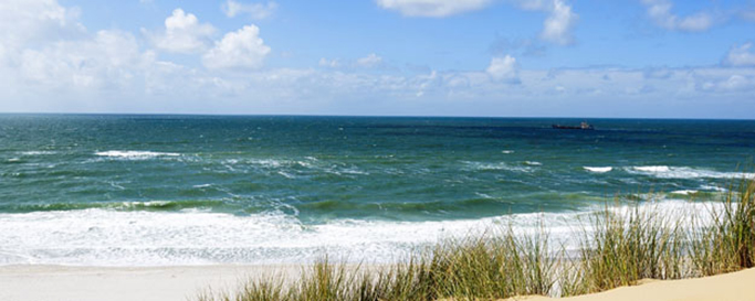 Segeln Sylt: Dünengräser und Meer